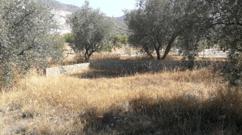 Granada - Padul - 1665m2