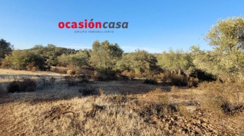 Кордова - Вильянуэва дель Дуке - 14000m2