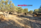 Xalet independent amb terreny en venda a la España, Villanueva del Duque, ref.: TR299915 foto