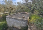Chalet independiente con terreno en venta en la España, el Perelló, ref: TR409470 foto