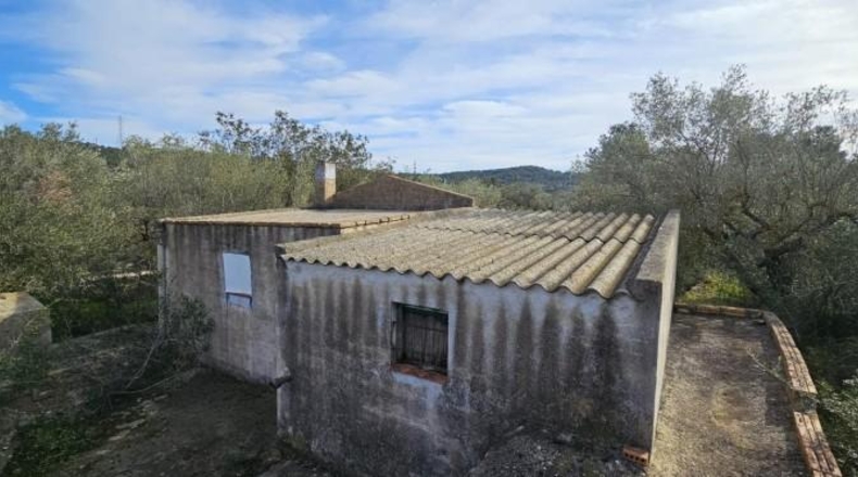 Tarragona - el Perelló - 6500m2