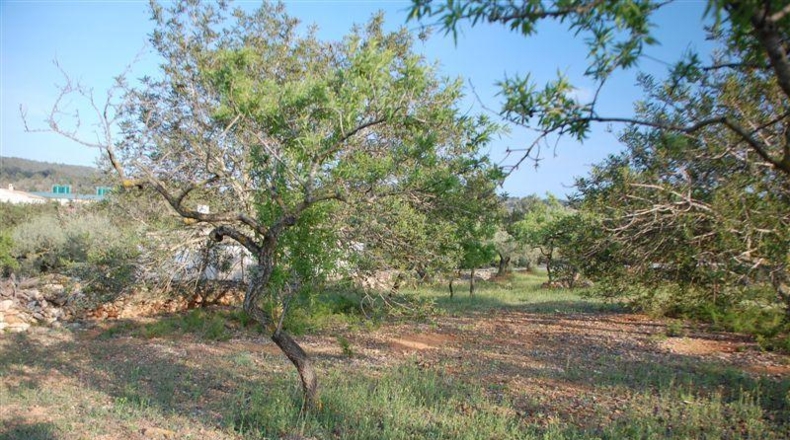 Tarragona - el Perelló - 6500m2
