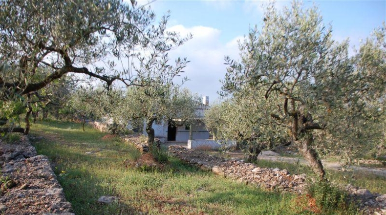 Tarragona - el Perelló - 6500m2