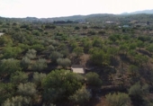Chalet independiente con terreno en venta en la España, el Perelló, ref: TR409470 foto