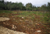 Terreno no urbanizable en venta en la España, Costitx, ref: TR294125 foto