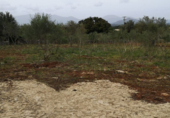 Terreno no urbanizable en venta en la España, Costitx, ref: TR294125 foto