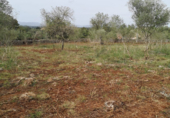 Terreno no urbanizable en venta en la España, Costitx, ref: TR294125 foto