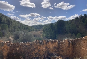 Arens de Lledó 135054&nbsp;m²
