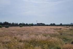 Blanca 7944&nbsp;m²