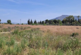 Blanca 7944&nbsp;m²