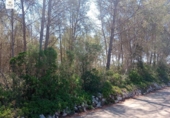 Terreno no urbanizable en venta en la España, Costitx, ref: TR309513 foto