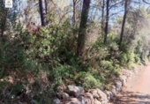 Terreno no urbanizable en venta en la España, Costitx, ref: TR309513 foto