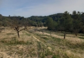Terreno no urbanizable en venta en la España, Lérida, ref: TR242874 foto