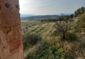 Terreno no urbanizable en venta en la España, Lérida, ref: TR242874 foto