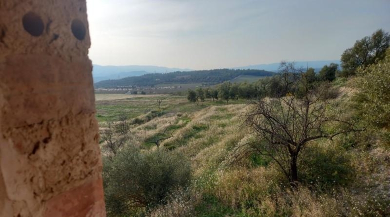 Tarragona - Flix - 50000m2