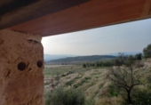 Terreno no urbanizable en venta en la España, Lérida, ref: TR242874 foto