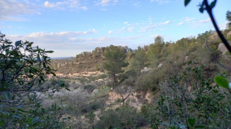 Tarragona - Flix - 50000m2