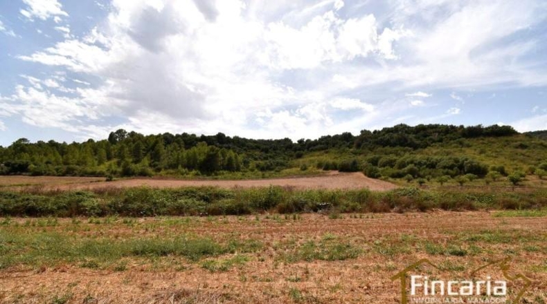 Islas Baleares - Manacor - 10654m2