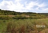 Terreno no urbanizable en venta en la España, Manacor, ref: TR394672 foto