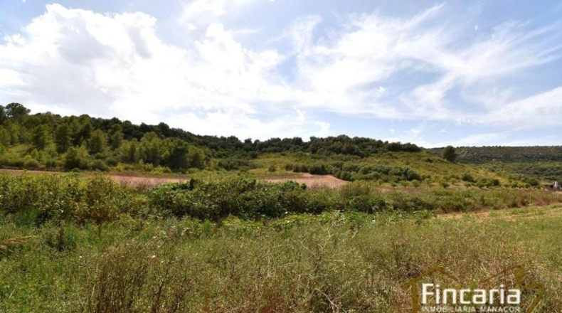 Islas Baleares - Manacor - 10654m2