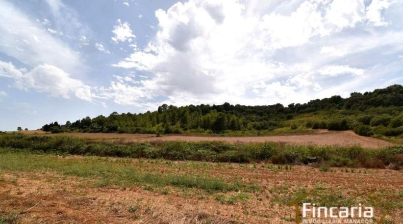 Islas Baleares - Manacor - 10654m2