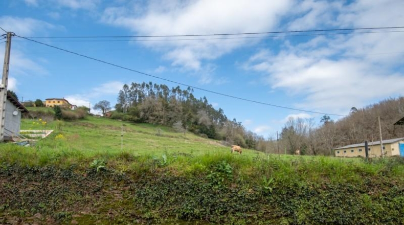 Astúries - Villaviciosa - 1061m2