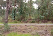 Terreno no urbanizable en venta en la España, Beas, ref: TR315764 foto