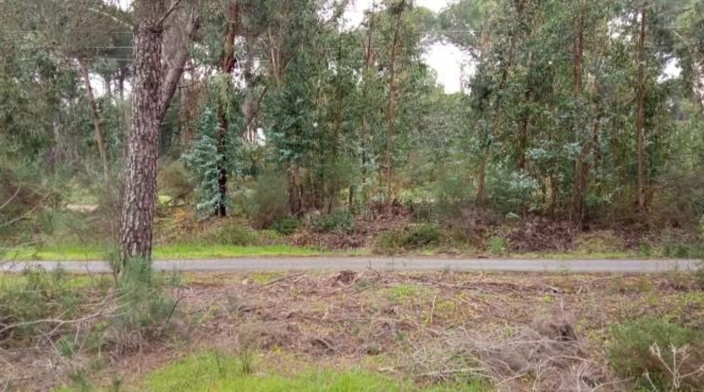 Huelva - Беас - 8055m2