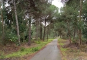 Terreno no urbanizable en venta en la España, Beas, ref: TR315764 foto