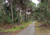 Terreno no urbanizable en venta en la España, Beas, ref: TR315764 foto