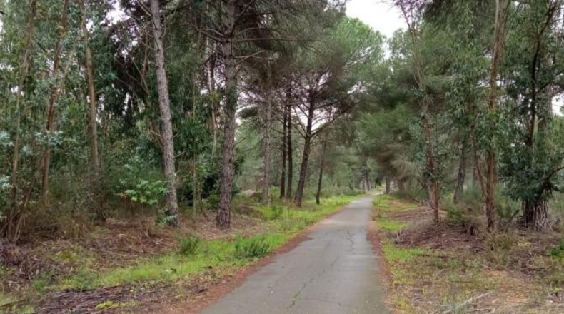 Huelva - Беас - 8055m2