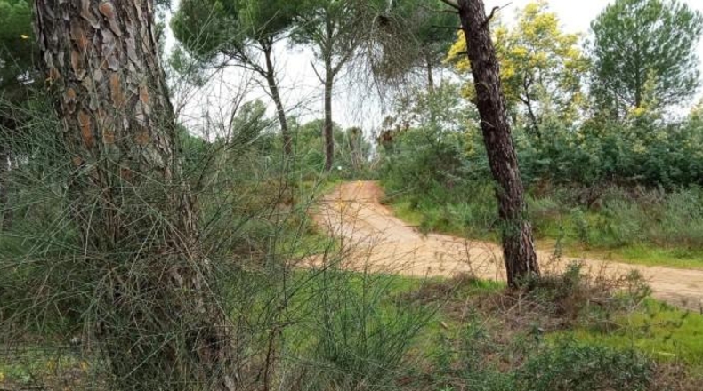 Huelva - Беас - 8055m2