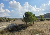 Chalet independiente con terreno en venta en la España, Cervera, ref: TR349108 foto
