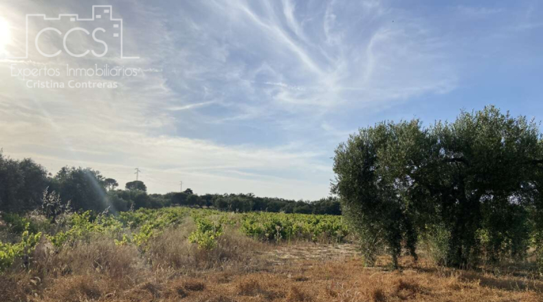 Huelva - Almonte - 44170m2