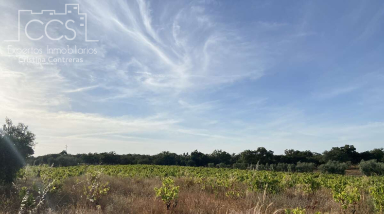 Huelva - Almonte - 44170m2