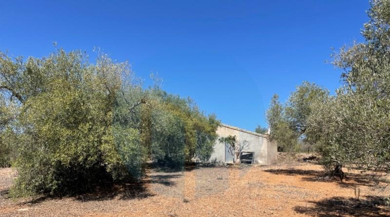 Tarragona - l'Ampolla - 29242m2