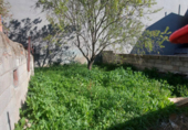 Suelo urbano en venta en la España, Ponferrada, ref: TR112171 foto