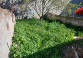 Suelo urbano en venta en la España, Ponferrada, ref: TR112171 foto