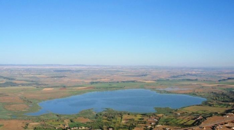 Huesca - Sariñena - 812m2