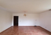 Detached villa with land for sale on España, Domingo Pérez, ref: TR304092 photo
