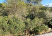 Suelo urbano en venta en la España, Castellet, ref: TR336927 foto