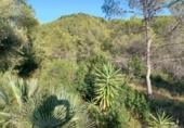 Suelo urbano en venta en la España, Castellet, ref: TR336927 foto