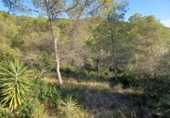 Suelo urbano en venta en la España, Castellet, ref: TR336927 foto
