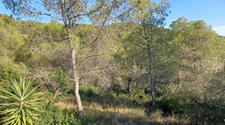 Barcelona - la Gornal - 1287m2