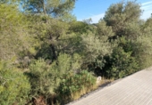 Suelo urbano en venta en la España, Castellet, ref: TR336927 foto