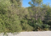 Suelo urbano en venta en la España, Castellet, ref: TR336927 foto