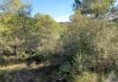 Suelo urbano en venta en la España, Castellet, ref: TR336927 foto