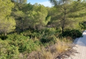 Suelo urbano en venta en la España, Castellet, ref: TR336927 foto