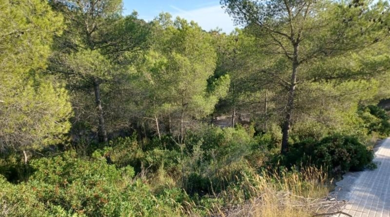 Barcelona - la Gornal - 1287m2