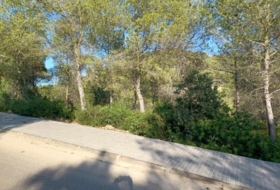 Foto 14